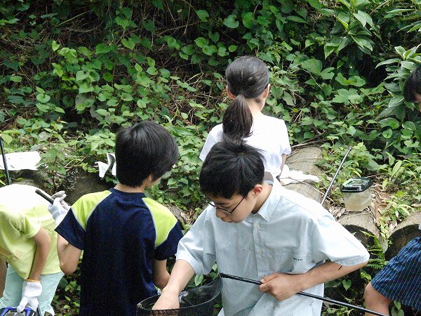 オープンスクール　部活動体験（科学部）